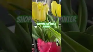 Winter Flower Shopping #winterbloom #winterblooms #coldweathercare #coldweatherfun #wintergarden