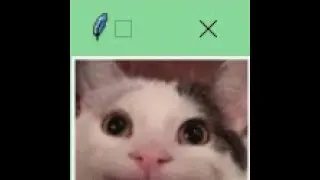 Boxing Cat in python Tkinter