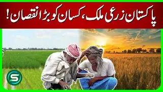 Major Crisis for Pakistani Farmers | Agriculture in Danger in Pakistan