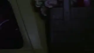 Spectre chase and attack 007