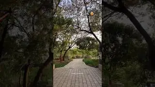 talegaon dabhade #trending #travel #love #viralvideo #nature #shortsfeed #shorts #viralshorts