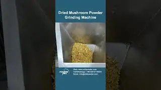 Dried Mushroom Powder Grinding Machine, Food Powder Pulverizer Machine Plant - Powder Mill