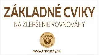 Z&aacute;kladn&eacute; cviky pre Tanc&uacute;chy - balančn&eacute; podložky