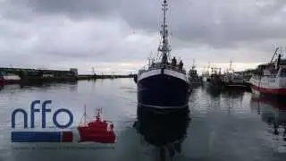 Net Gain - Why hake is currently the UK's most sustainable fish