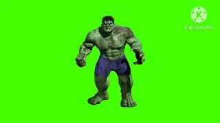 My Favorite Hulk's (1977-2010)