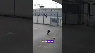 Drone Prison Delivery Caught on Camera! 📦🚁