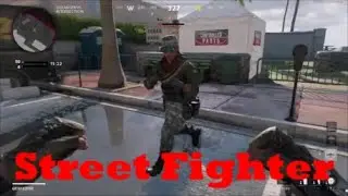 Salty C.O.D Veteran -Street Fighter