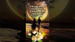 🌹🌿💖 НАС СУДЬБА СВЕЛА#МЫСЛИ#ВЗГЛЯДЫ#ЦИТАТЫ#ОТКРЫТКА#RESPECT #SHORTS 🌿🌹💥