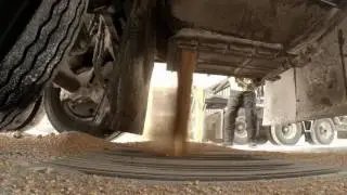 Automatic Receiving System for Feed Mills