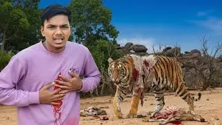 I Finally Find Tiger a Real 😱 | अगर क्या हो इंसानों पर अटैक कर दे तो क्या होगा || Hacker Indian 