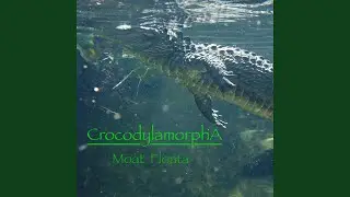 Moat Floata
