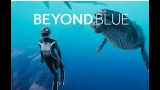 LET'S TRAVEL IN THE DEEP BLUE OCEAN WITH A 3 WK OLD FOSTER KITTEN #kick #beamstream