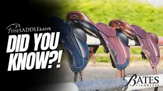 Did You Know? &ndash; Key Features in a Bates Saddle 🐴✨