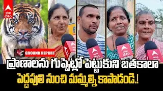 Torredu Locals Fear on Tiger | పెద్దపులి భయంతో బిక్కు బిక్కుమంటున్న తొర్రేడు గ్రామస్తులు | ABP Desam