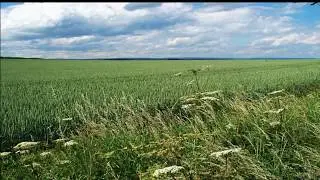 Delius: The Walk to the Paradise Garden.