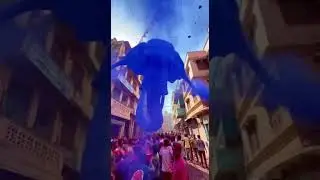 Holi Magic: Elephant in the Colors of Mumbai