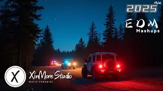 Bass Boosted EDM Mix 2025 🎧 Popular Remixes 🎧 Top EDM Hits of 2025