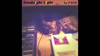 P.SUS - Goodnight Light (2010) (Full EP)