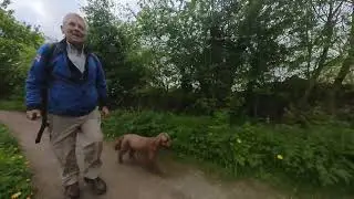 2025-05-15. With Ruby, along The Nottingham Canal Pt 02 (Stapleford to Awsworth).