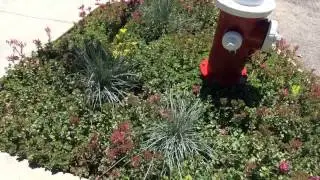 2014 Idaho Botanical Garden Private Garden Tour