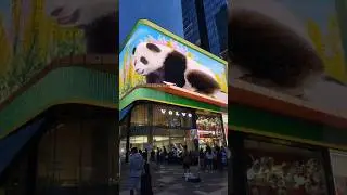 3D Panda🐼 China  🇨🇳 #panda #japan #панда #3danimation #3d #shorts #viral
