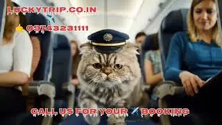 Lucky Trip flight ticket booking Dil 💕 Se Dil 💕 Tak  AI video #flight #ticket #lucky #trip #cheapest