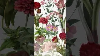 V&iacute;deo musical de los taburetes LOIRE, en lanubecolchones.com #lanubecolchones1