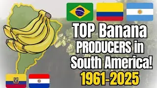 Top Banana Producing Countries in South America(1961&ndash;2025)|Largest Banana Producers in South America