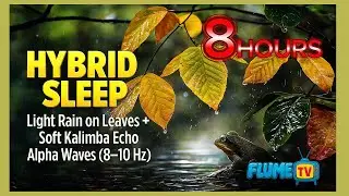 𝐇𝐘𝐁𝐑𝐈𝐃 𝐒𝐋𝐄𝐄𝐏🌧️ – Light Rain on Leaves + Soft Kalimba Echo + Alpha Waves (8–10 Hz) — 8 HOURS