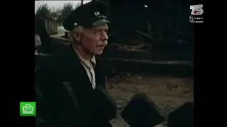 НТВ-Беларусь HD (09.05.2020) Анимация на 9 мая