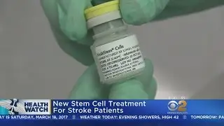 Experimental Treatment Gives New Hope To Stroke Patients