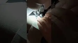 6 січня 2026 р.