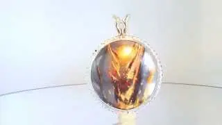 Tiger Iron Medallion