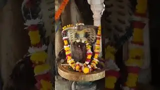How to Pray in Shiva temple ? 🥰  #shorts #youtubeshorts #harharmahadev #bhola