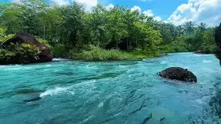 Relaxing River Sounds with Birds | Natural Water Flow for Sleep, Study & Meditation
