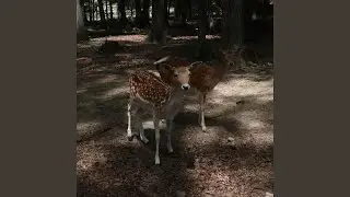 quick smoke break (sped up)