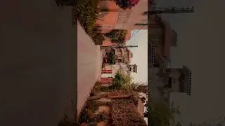 iPhone cinematic vedio | shot on iPhone #shorts #short #shortsviral #iphone8plus #iphonecinematic