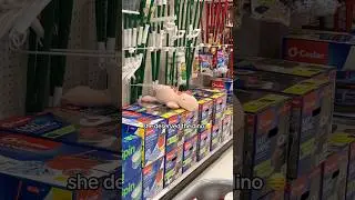 target weighted stuffed animals