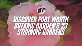 Discover Fort Worth Botanic Garden's 23 stunning gardens