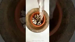 slate pencil in mitti ka cup #shorts #viral
