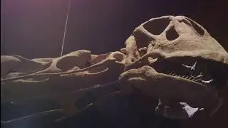 Lure Studios Reel