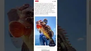 Articolo sulla traina col vivo con esche alternative