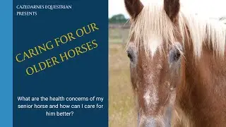 Senior Horse Care