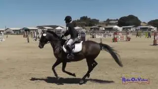 034S Carrie Finno on Kaiden Open Preliminary Show Jumping Woodside August 2016