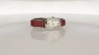 Cartier Baignoire Ref.  3065