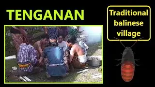 Tenganan -the traditional Bali-Aga Village-