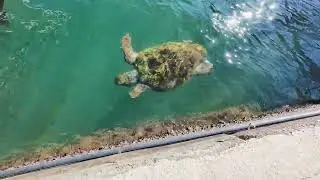 Kefalonia 2025