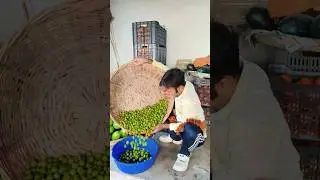 #YouTube #shorts# funny #