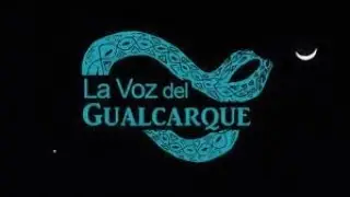 Documental: La Voz del Gualcarque
