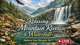 Deep Sleep Therapy with Natural Sounds 🌿 Stress Relief, Insomnia & Focus Healing